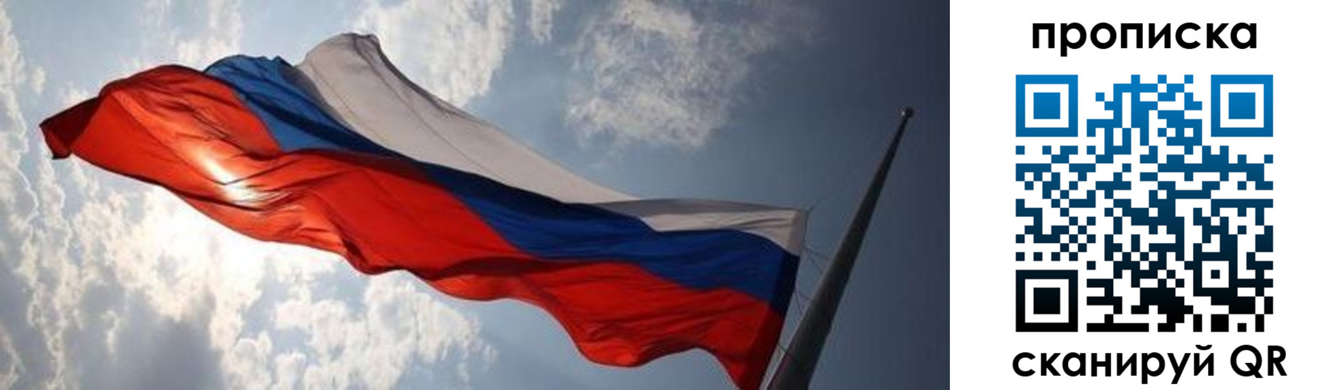 прописка штамп в Светлогорске