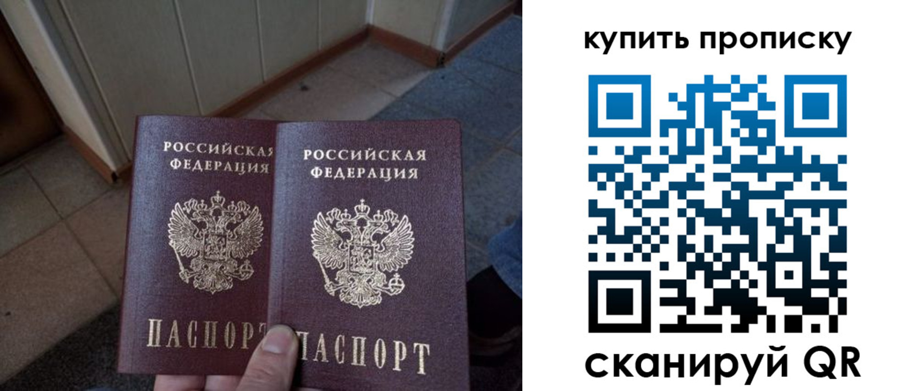купить прописку в Светлогорске